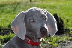 Jaina-3-mois