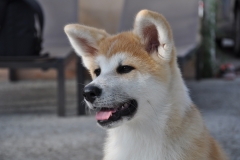 Laska
