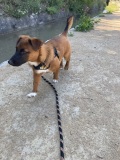 Loky