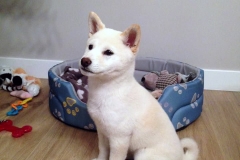 Maeka