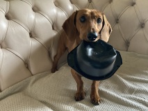 Pluto