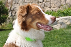 Ruby-1