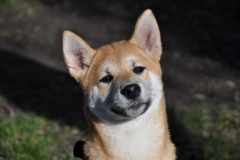 Yuki