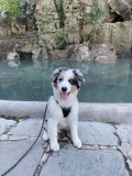 cannelle-1