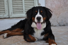 charlie-couche