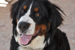 charlie