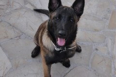 hania