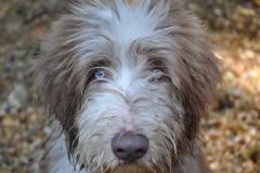 les-beau-yeux-hermes