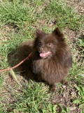 nalla
