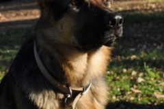 rocco-et-heidi