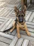 skye
